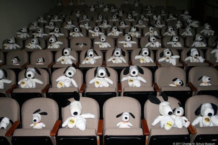 a theater full of snoopy stuffed animals